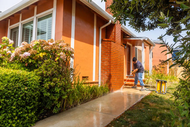 Best Pressure Washing Near Me  in Wiggins, MS